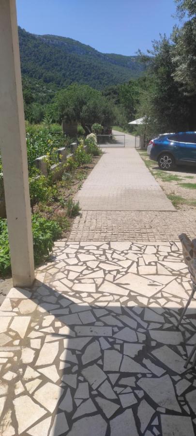 Apartmani Maslina Žuljana Exterior foto