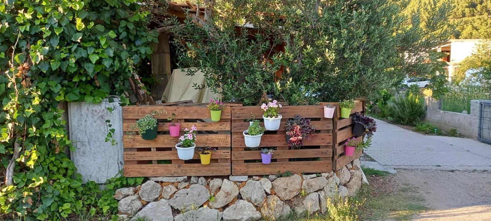 Apartmani Maslina Žuljana Exterior foto