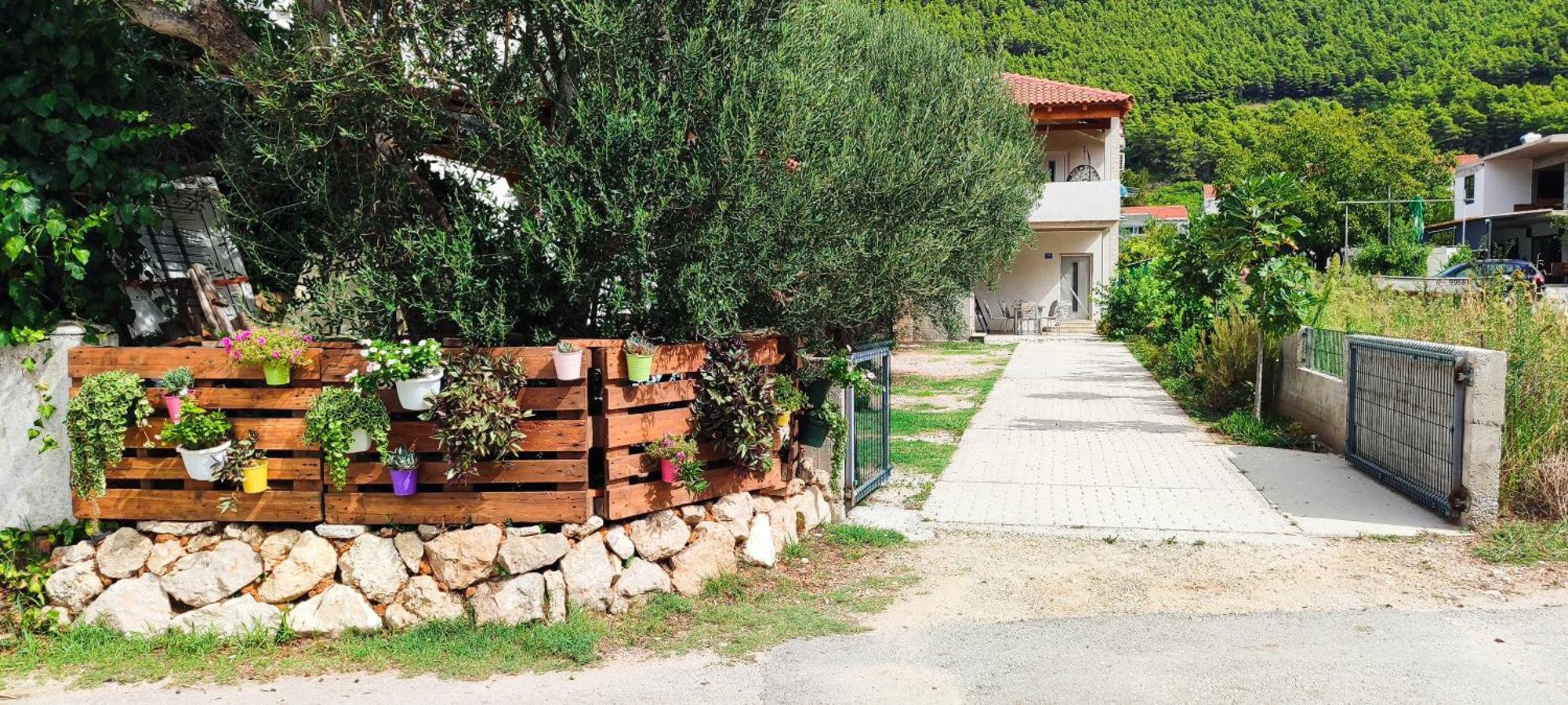Apartmani Maslina Žuljana Exterior foto